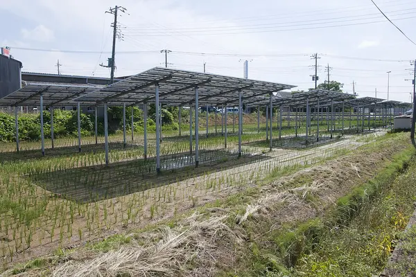 Iberdrola Plan Online Solar